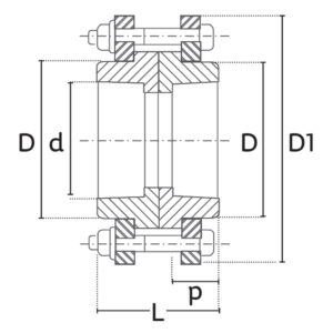 Diagrama PPR-CT Unión Bridada mixta